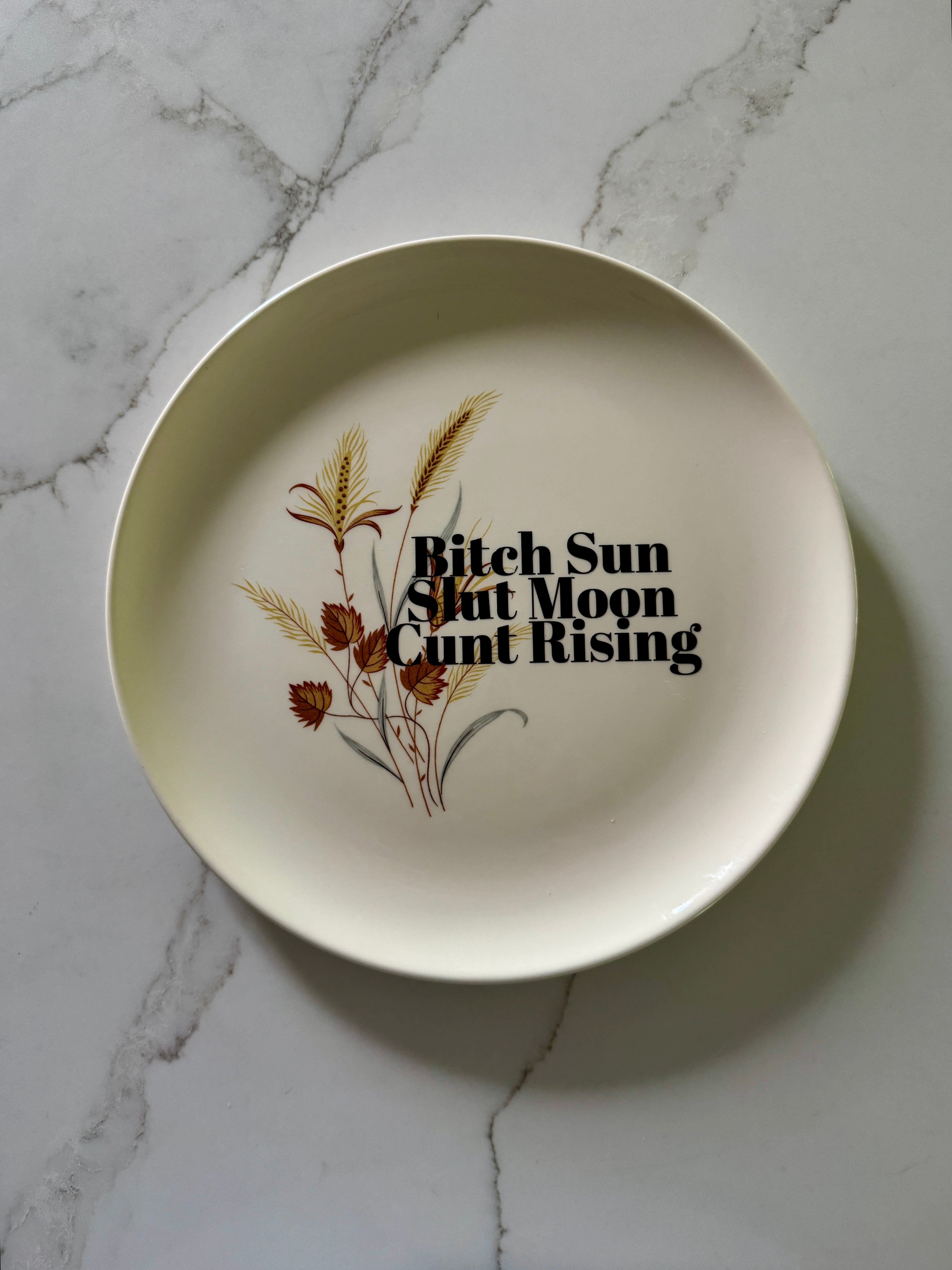 Bitch Sun Slut Moon Cunt Rising